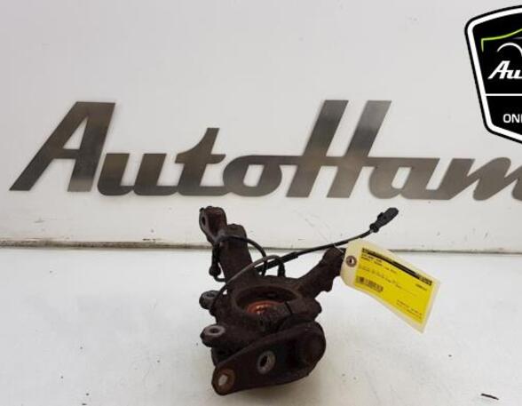 Stub Axle RENAULT TWINGO II (CN0_)