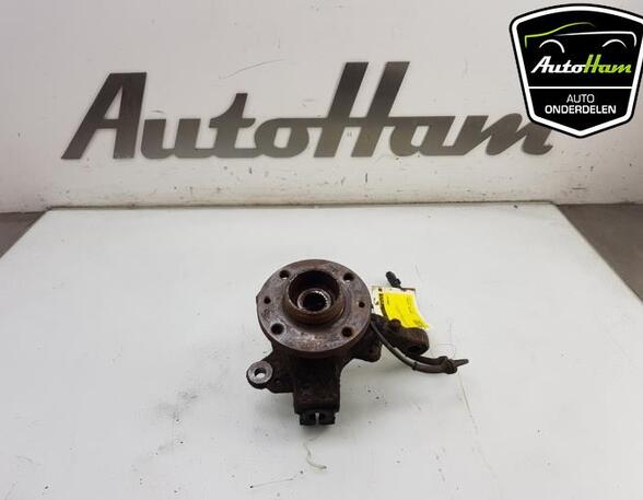 Stub Axle RENAULT CLIO III (BR0/1, CR0/1)