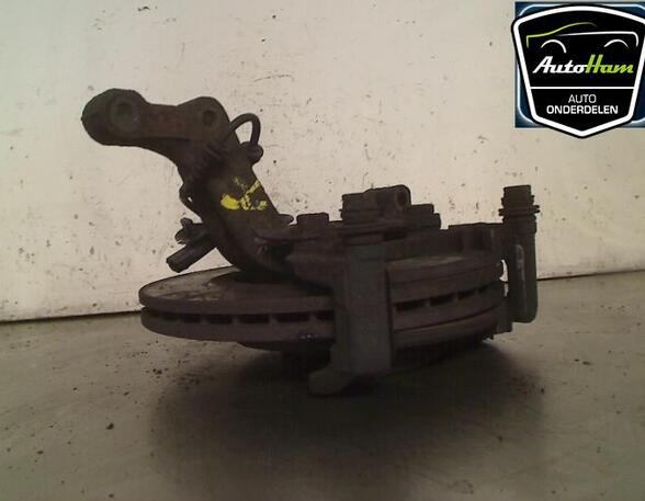 Stub Axle RENAULT CLIO III (BR0/1, CR0/1)