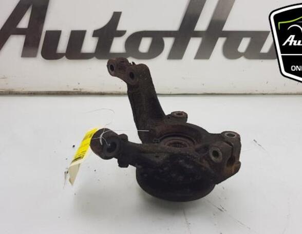 Stub Axle RENAULT CLIO III (BR0/1, CR0/1)