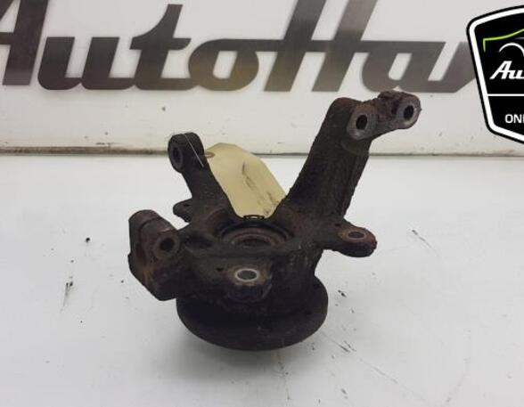 Stub Axle RENAULT CLIO III (BR0/1, CR0/1)