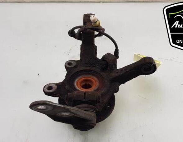 Stub Axle RENAULT KANGOO (KC0/1_), RENAULT KANGOO Express (FC0/1_)