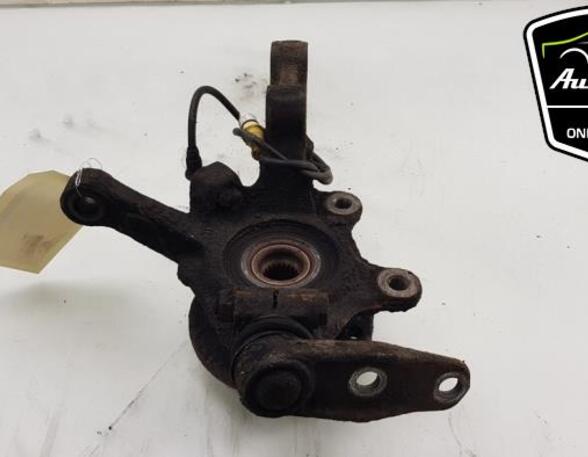 Stub Axle RENAULT KANGOO (KC0/1_), RENAULT KANGOO Express (FC0/1_)