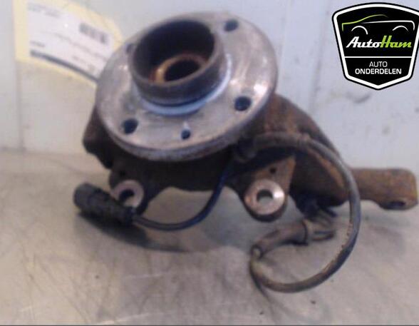 Stub Axle RENAULT CLIO III (BR0/1, CR0/1)