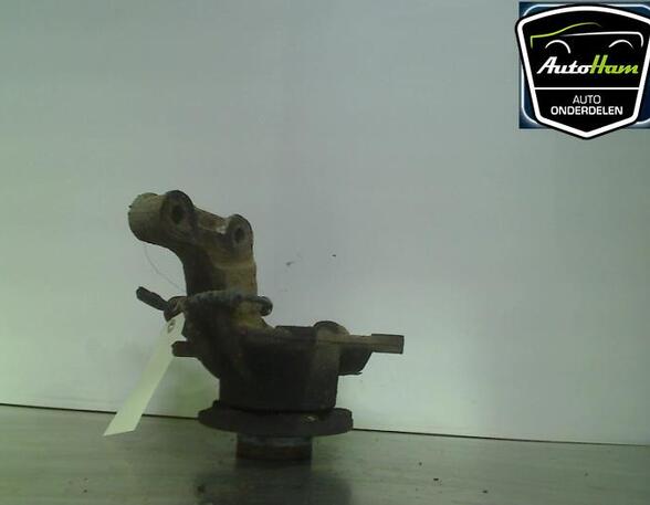 Stub Axle RENAULT MEGANE III Coupe (DZ0/1_), RENAULT LAGUNA III Grandtour (KT0/1)