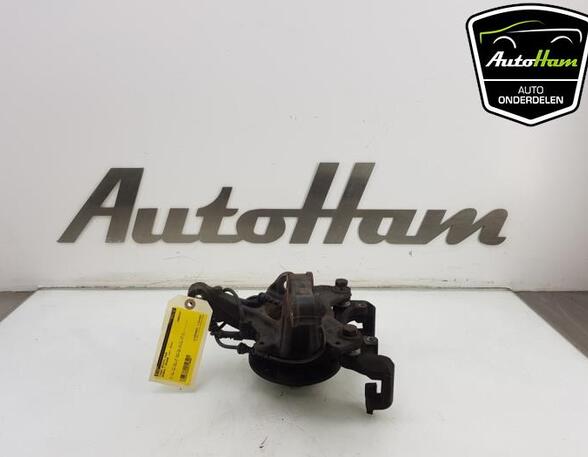 Stub Axle RENAULT MEGANE III Grandtour (KZ0/1)