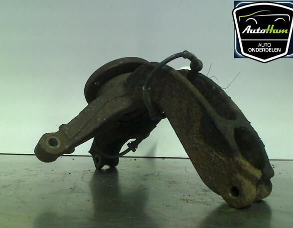 Stub Axle RENAULT MEGANE II (BM0/1_, CM0/1_)