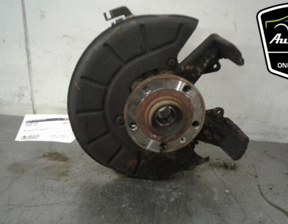 Stub Axle VW JETTA III (1K2), VW GOLF V (1K1), SEAT LEON (1P1), VW GOLF V Variant (1K5)