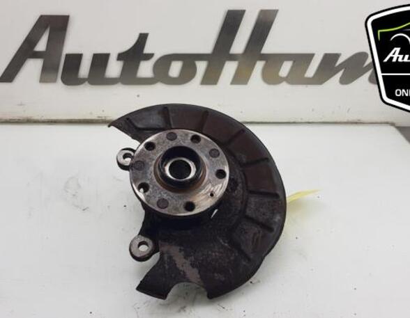 Stub Axle AUDI A3 (8P1)