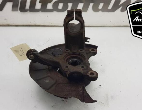 Stub Axle AUDI A3 (8P1)