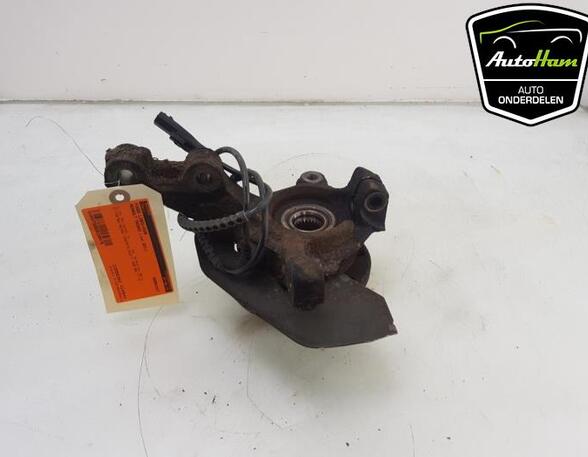 Stub Axle RENAULT TWINGO II (CN0_)