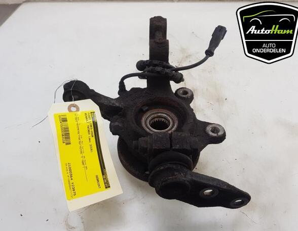 Stub Axle RENAULT TWINGO II (CN0_)