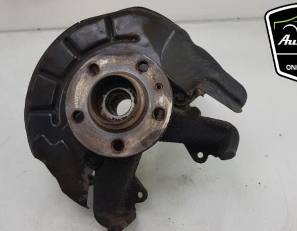 Stub Axle SKODA FABIA II (542)