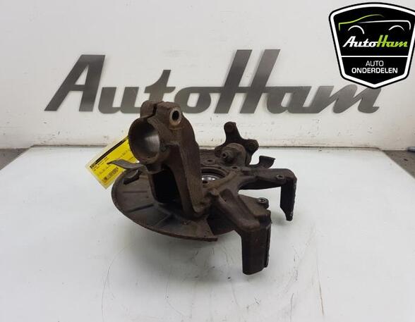 Stub Axle VW GOLF V (1K1), SEAT ALTEA (5P1), SEAT ALTEA XL (5P5, 5P8), SEAT TOLEDO III (5P2)