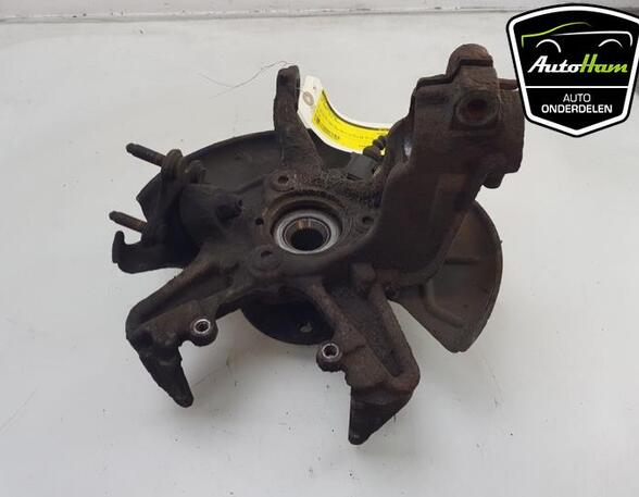 Stub Axle AUDI A3 (8P1), AUDI A3 Sportback (8PA), VW GOLF VI (5K1), VW GOLF VI Van (5K1_)