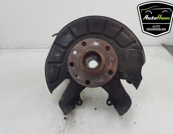 Stub Axle AUDI A3 (8P1), AUDI A3 Sportback (8PA), VW GOLF VI (5K1), VW GOLF VI Van (5K1_)