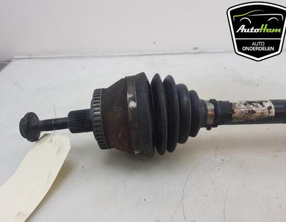 Drive Shaft AUDI A4 B7 Convertible (8HE), AUDI A4 Avant (8E5, B6), AUDI A4 Avant (8ED, B7)