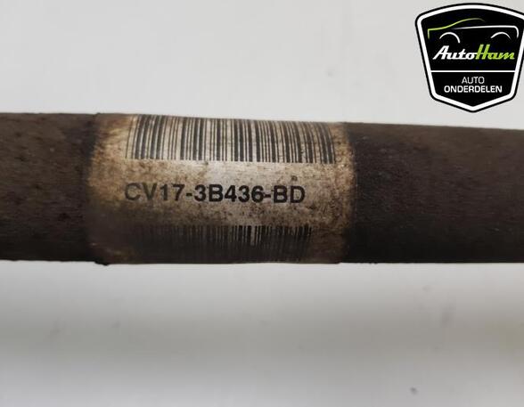 Drive Shaft FORD FIESTA VI (CB1, CCN), FORD B-MAX (JK)