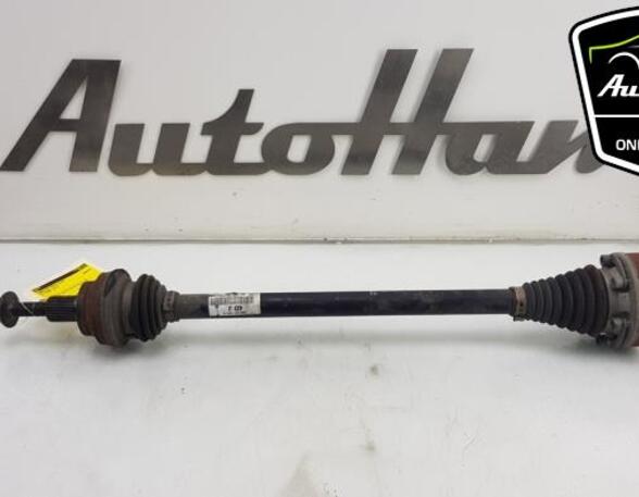 Drive Shaft AUDI A3 (8P1), AUDI A3 Sportback (8PA), VW PASSAT Variant (3C5), VW TIGUAN (5N_)