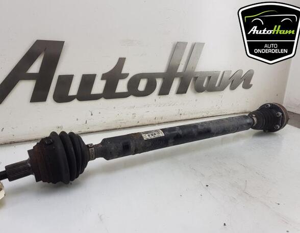 Drive Shaft VW GOLF PLUS (5M1, 521), VW GOLF V (1K1)