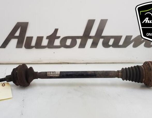 Drive Shaft AUDI A6 Avant (4F5, C6), AUDI A6 Allroad (4FH, C6)