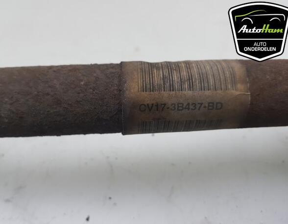 Drive Shaft FORD B-MAX (JK), FORD FIESTA VI (CB1, CCN)