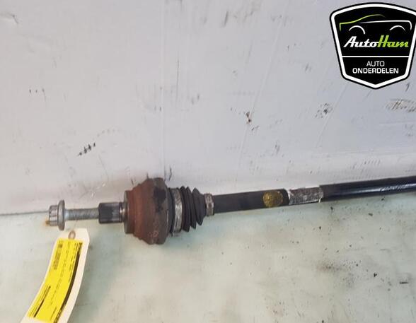 Drive Shaft CUPRA BORN (K11)