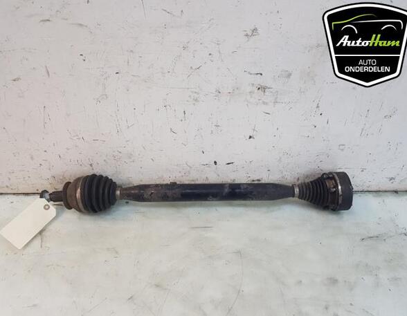 Drive Shaft VW POLO (6R1, 6C1), AUDI A1 (8X1, 8XK), SEAT IBIZA IV ST (6J8, 6P8), SKODA FABIA II (542)