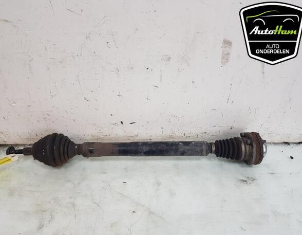 Drive Shaft AUDI A3 (8P1), AUDI A3 Sportback (8PA), VW GOLF V (1K1)