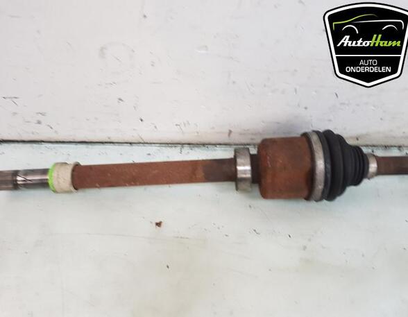 Drive Shaft OPEL VIVARO B Van (X82), RENAULT TRAFIC III Van (FG_), OPEL VIVARO B Bus (X82)