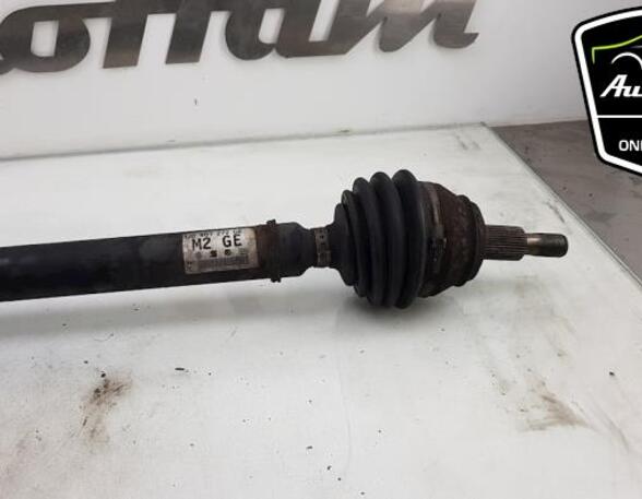 Drive Shaft SEAT TOLEDO II (1M2), VW GOLF IV Variant (1J5), SEAT LEON (1M1), VW GOLF IV (1J1)