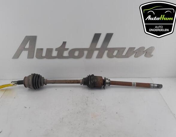 Drive Shaft FIAT DOBLO Cargo (263_), FIAT DOBLO Platform/Chassis (263_)