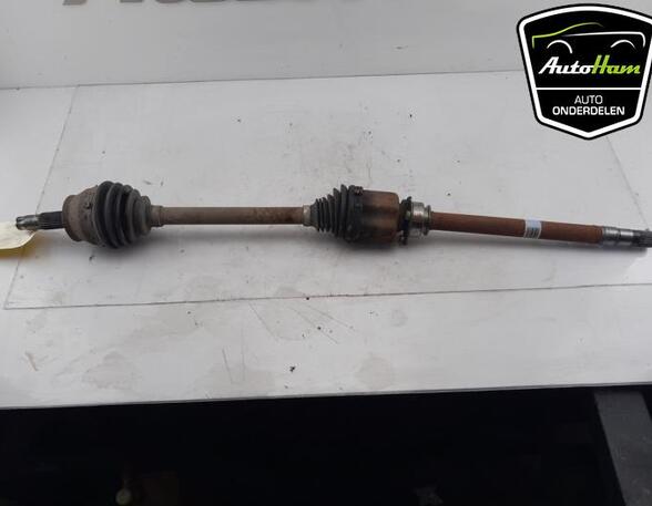 Drive Shaft FIAT DOBLO Cargo (263_), FIAT DOBLO Platform/Chassis (263_)