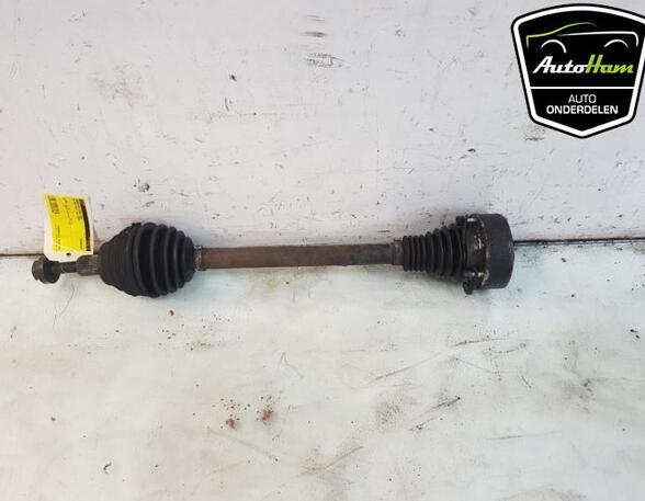 Drive Shaft AUDI A3 (8P1), AUDI A3 Sportback (8PA), VW GOLF PLUS (5M1, 521), VW GOLF V (1K1)