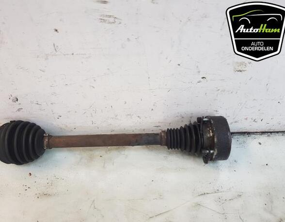 Drive Shaft AUDI A3 (8P1), AUDI A3 Sportback (8PA), VW GOLF PLUS (5M1, 521), VW GOLF V (1K1)