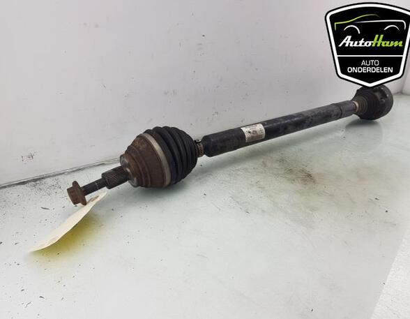 Drive Shaft VW GOLF PLUS (5M1, 521), SEAT ALTEA (5P1), SEAT ALTEA XL (5P5, 5P8), SEAT TOLEDO III (5P2)