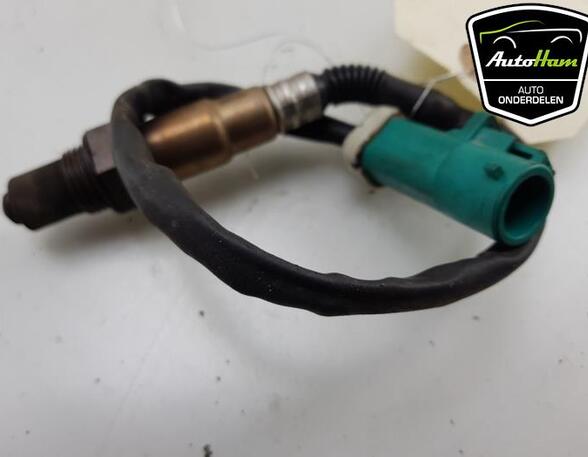 Lambdasonde / NOx Sensor FORD C-MAX (DM2), FORD FOCUS C-MAX (DM2), FORD FOCUS II (DA_, HCP, DP)