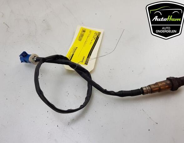 Lambda Sensor / NOx Sensor FORD C-MAX (DM2), FORD FOCUS C-MAX (DM2), FORD FOCUS II (DA_, HCP, DP)