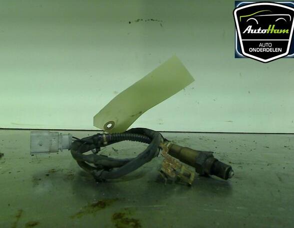 Lambda Sensor / NOx Sensor SEAT ALTEA (5P1), SEAT ALTEA XL (5P5, 5P8), SEAT TOLEDO III (5P2), SKODA OCTAVIA II Combi (1Z5)