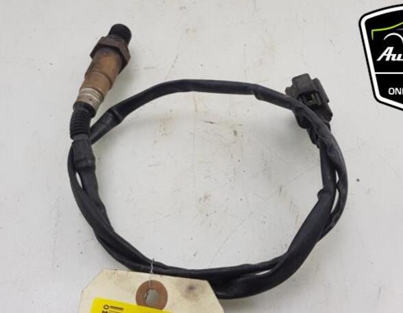 Lambda Sensor / NOx Sensor FORD FIESTA VI (CB1, CCN), FORD B-MAX (JK)