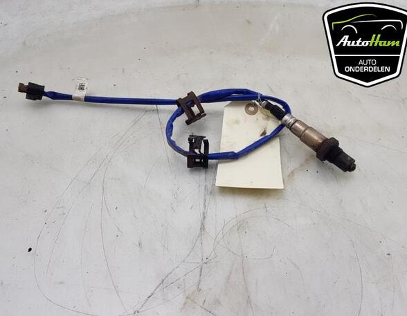 Lambdasonde / NOx Sensor FORD C-MAX II (DXA/CB7, DXA/CEU)