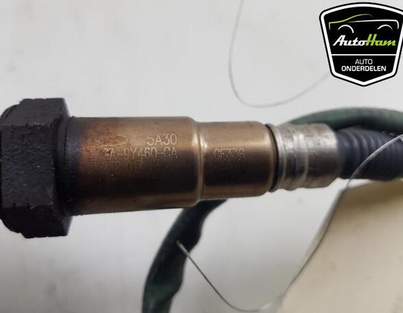 Lambda Sensor / NOx Sensor FORD FOCUS III Turnier