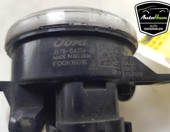 Fog Light FORD FOCUS IV Turnier (HP), FORD PUMA (J2K, CF7)