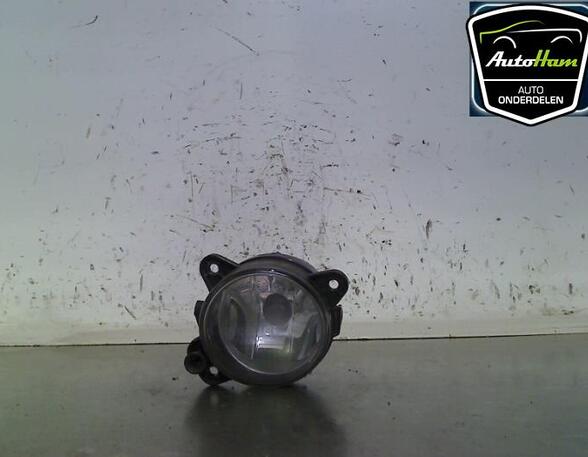 Fog Light SKODA FABIA II (542)