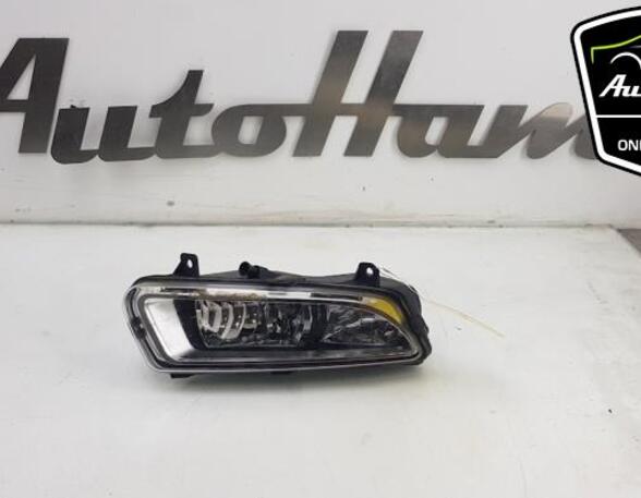 Mistlamp VW POLO (6R1, 6C1), VW POLO Van (6R)