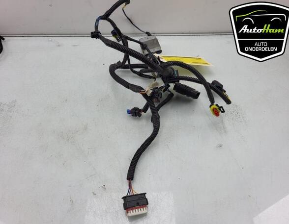 Wiring Harness TESLA MODEL 3 (5YJ3)