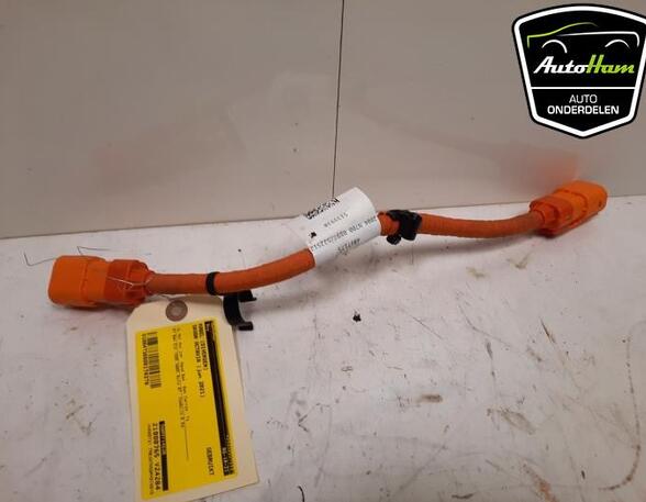 Wiring Harness CUPRA LEON (KL1, KU1)