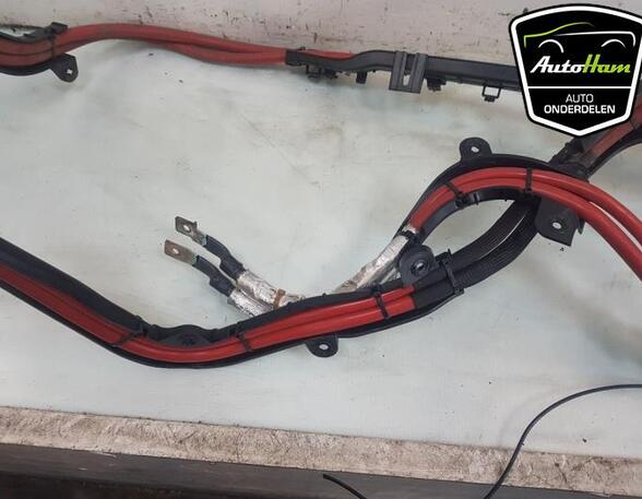 Wiring Harness BMW X5 (G05, F95)