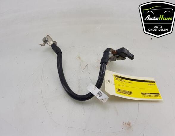 Sensor Cupra Born K11 1EA915181A P19214896