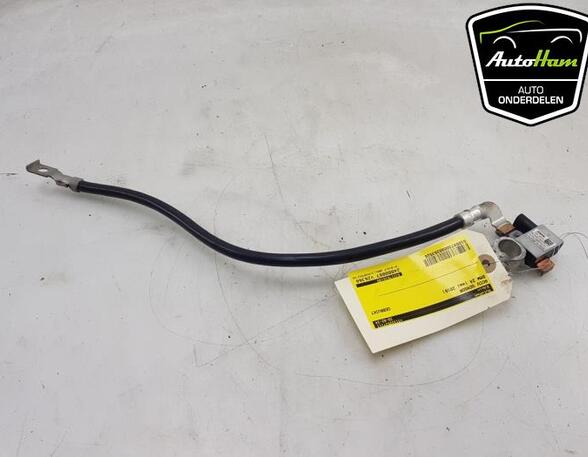 Sensor BMW Z4 E89 61217616199 P20255403